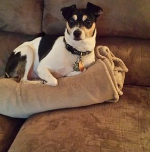 Meet your Posher, Randy